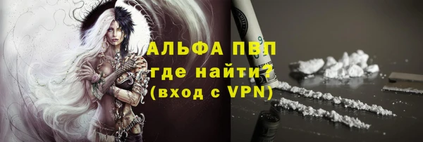 гашик Снежногорск