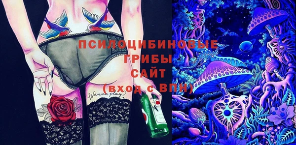 тгк Арсеньев