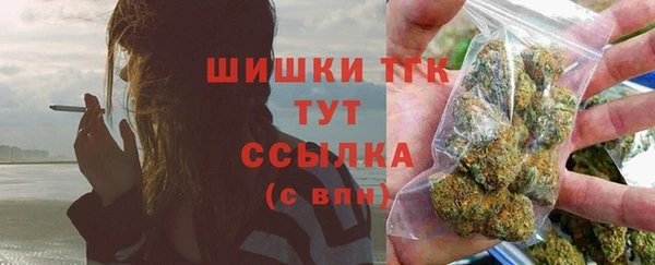 тгк Арсеньев